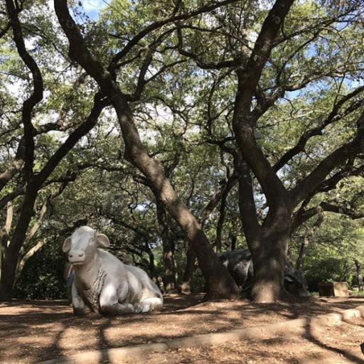 Cow sculpture and trees at the Arboretum open-air shopping mall